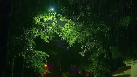 A relaxing evening, the sound of rain in the forest and ASMR - the perfect sound