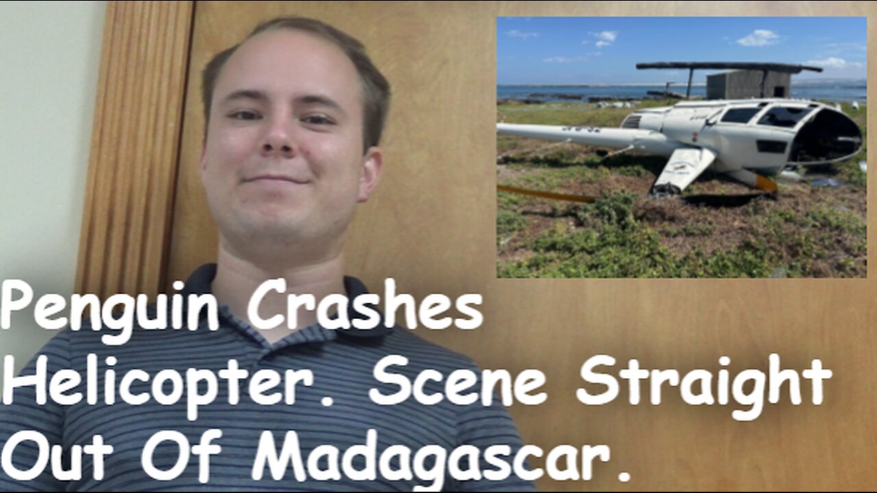 Penguin Crashes Helicopter. Scene Straight Out Of Madagascar.