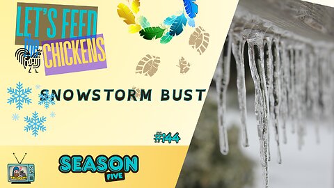 Snowstorm Bust | Let's Feed the Chickens | E144