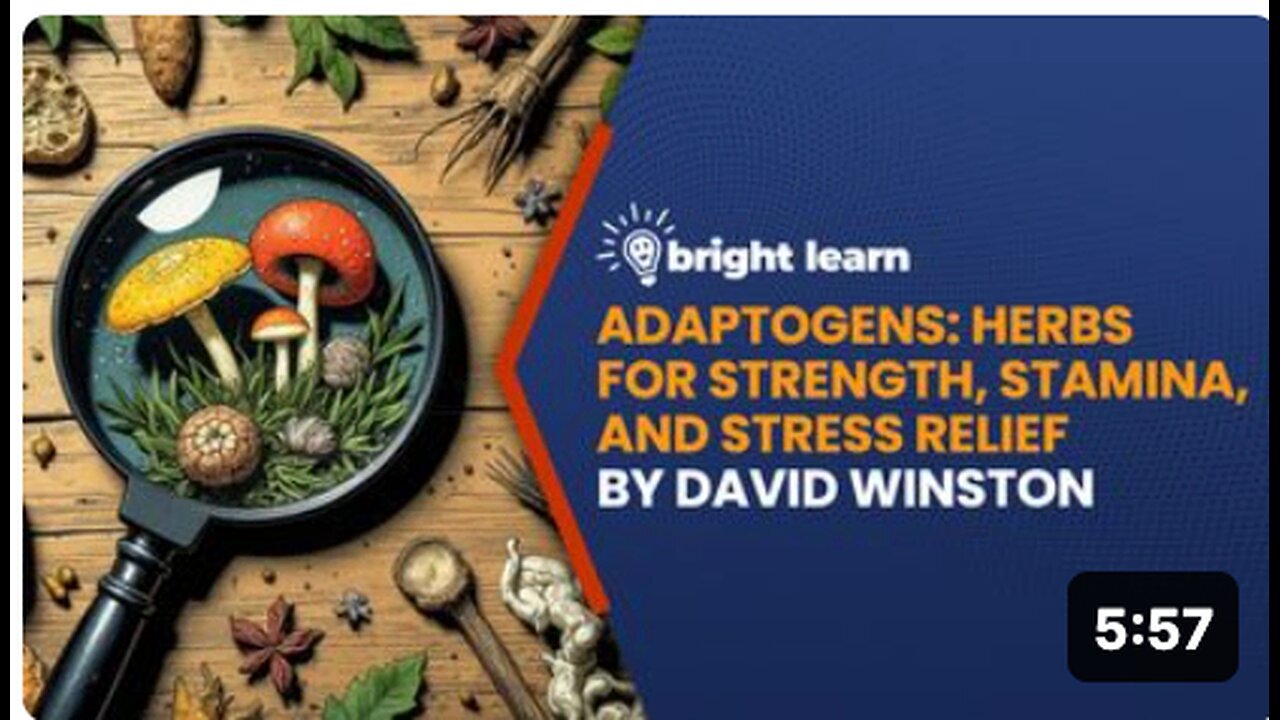"Exploring Adaptogens with BrightLearn: Boosting Stamina, Mitigating Stress, and Enhancing Strength"