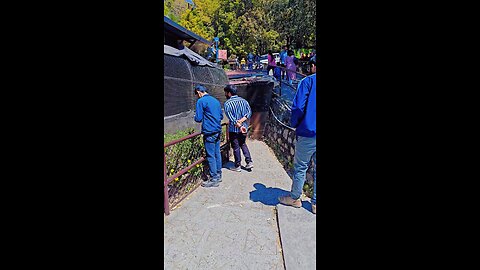 nainital zoo