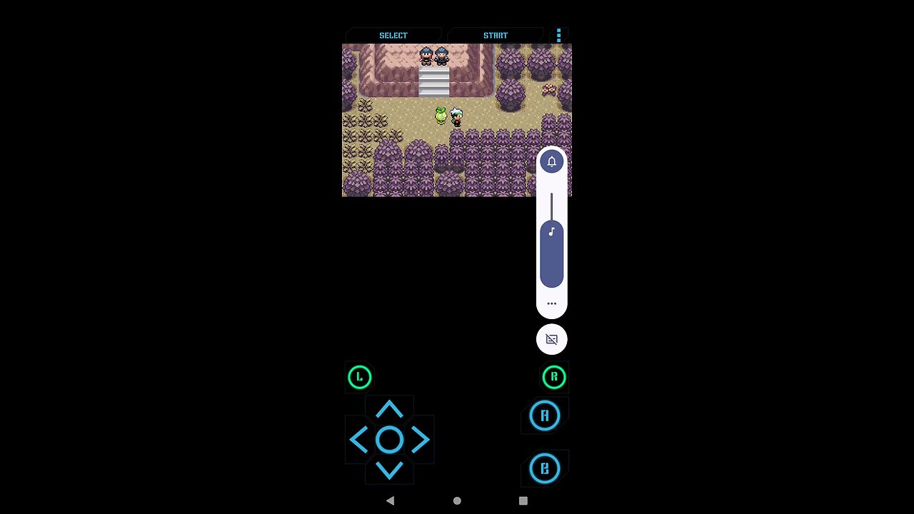 Pokémon Dreamstone mystery part 3| The second Gym leader and the Dreamstone