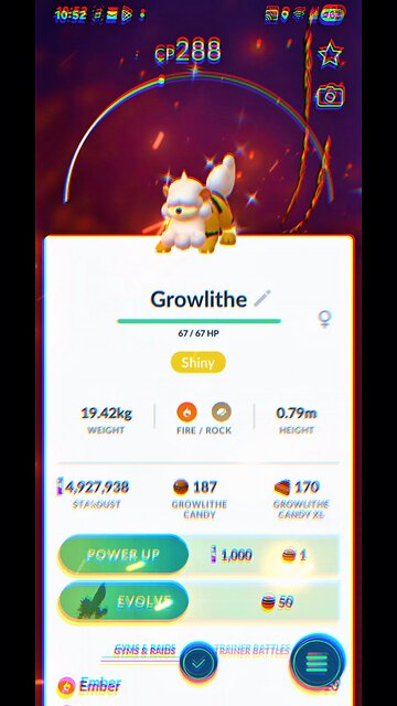 I FINALLY Found the GOLDEN LION! ✨ Shiny Hisuian Growlithe Catch!