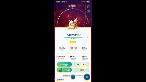 I FINALLY Found the GOLDEN LION! ✨ Shiny Hisuian Growlithe Catch!