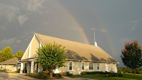 The State of the Dead