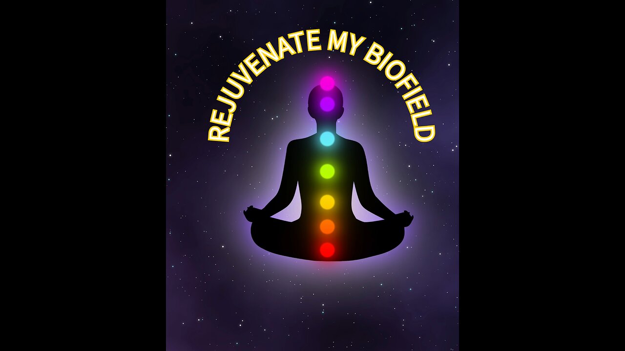 No Fear No Hesitation