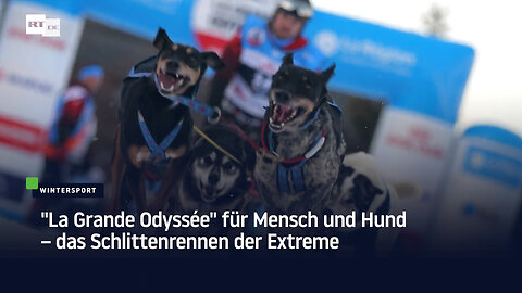 "La Grande Odyssée" für Mensch und Hund – das Schlittenrennen der Extreme