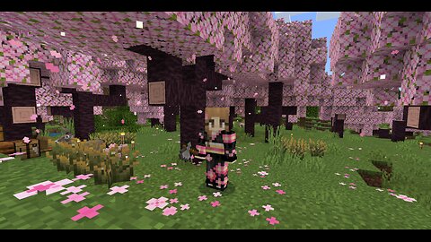 Let's Build A Bedroom and Library!