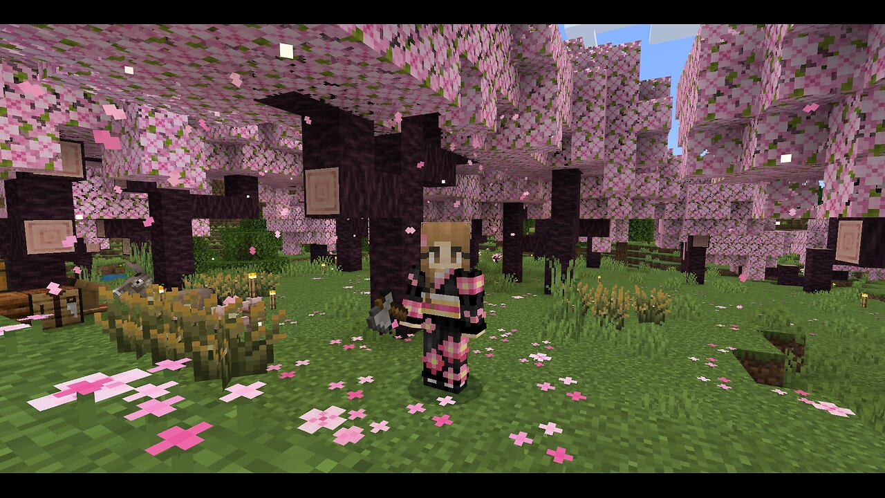 Let's Build A Bedroom and Library!