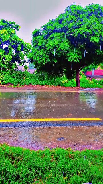 Rain – A Poem Without Words"