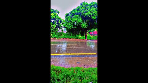 Rain – A Poem Without Words"