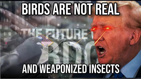 Birds Are Not Real and Weaponized Insects