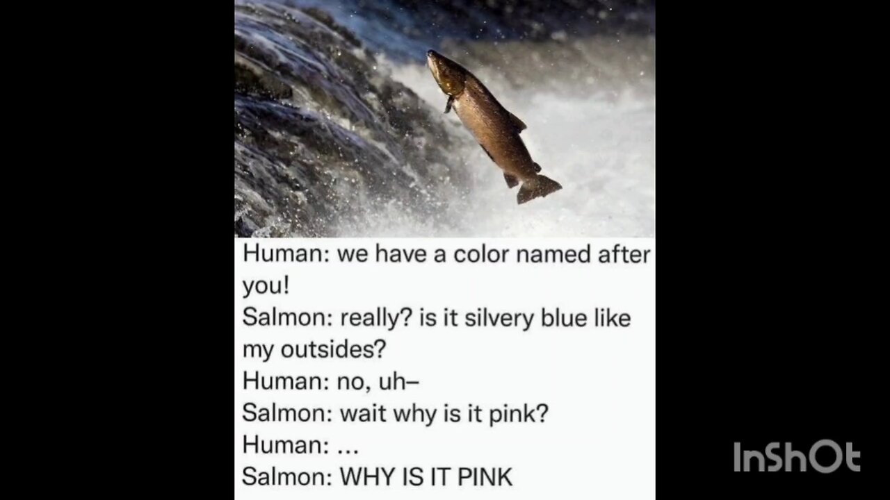 Human: we have a color named after you!