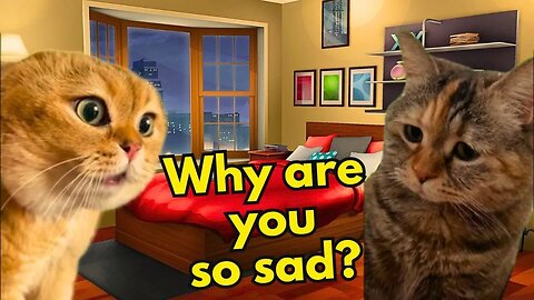 What Does a Cat Do When His Girlfriend is Sad? (Ep.5)