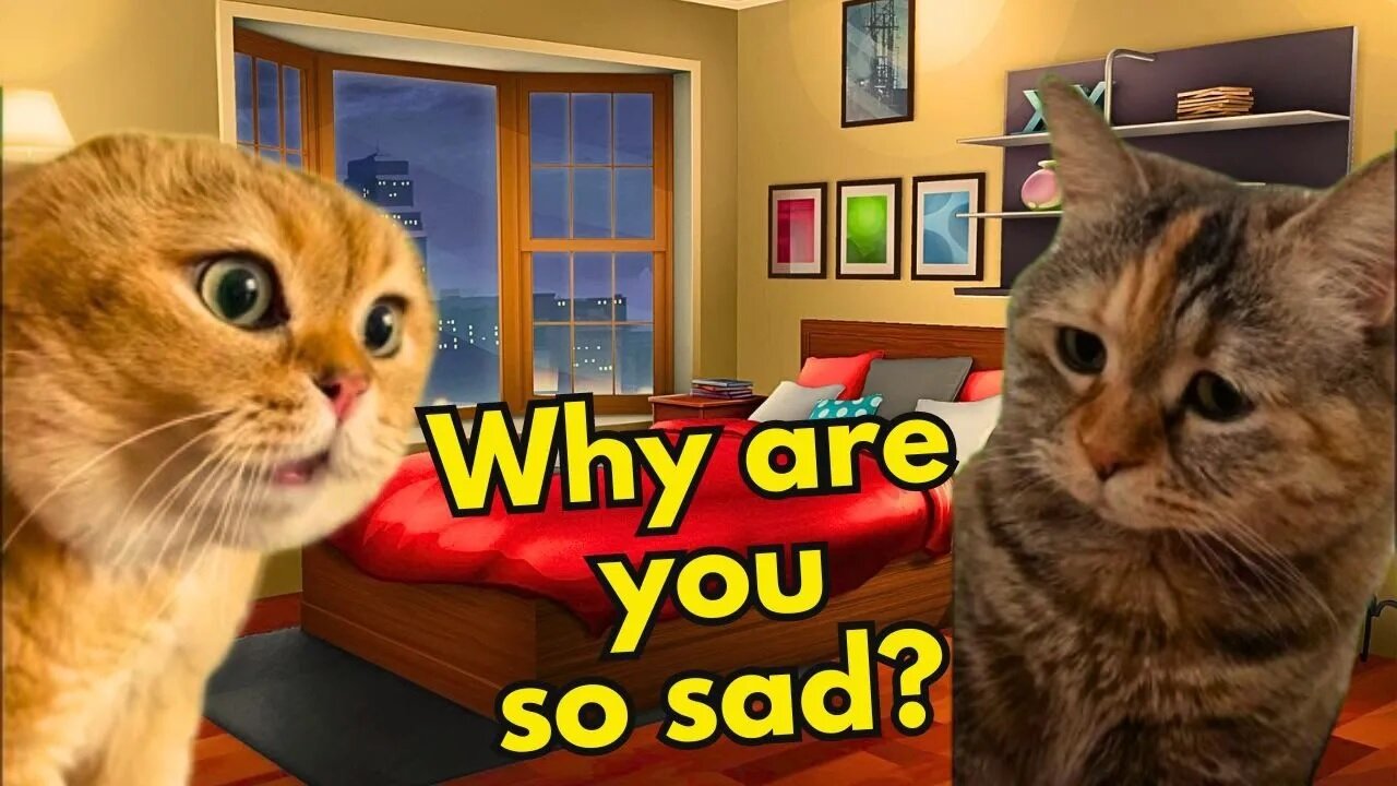What Does a Cat Do When His Girlfriend is Sad? (Ep.5)