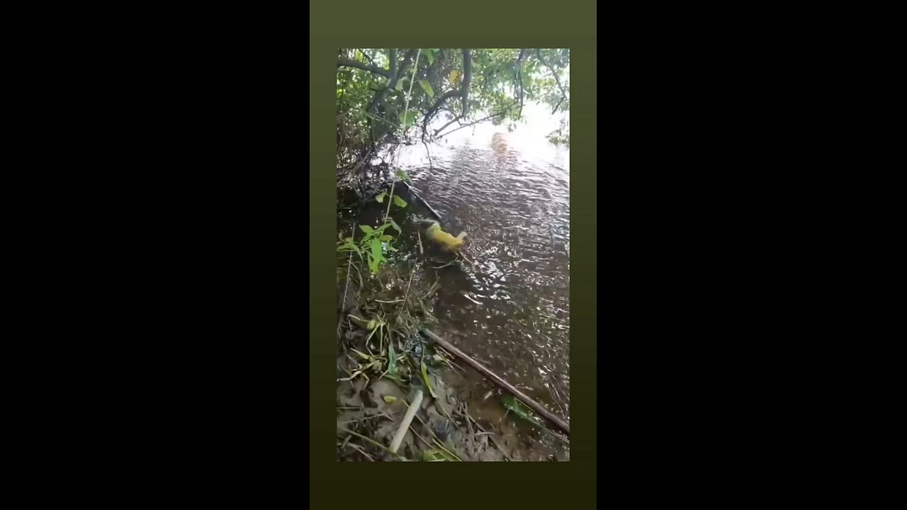 The bodies of the victims