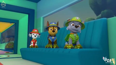 PAW Patrol Cartoons
