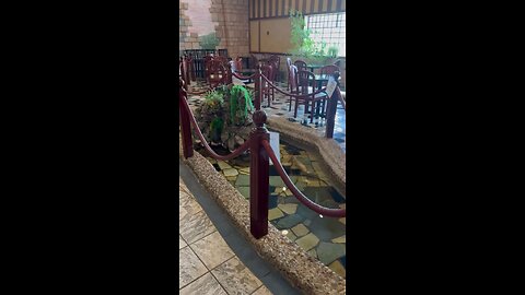 Philadelphia Chinese restaurant 👌