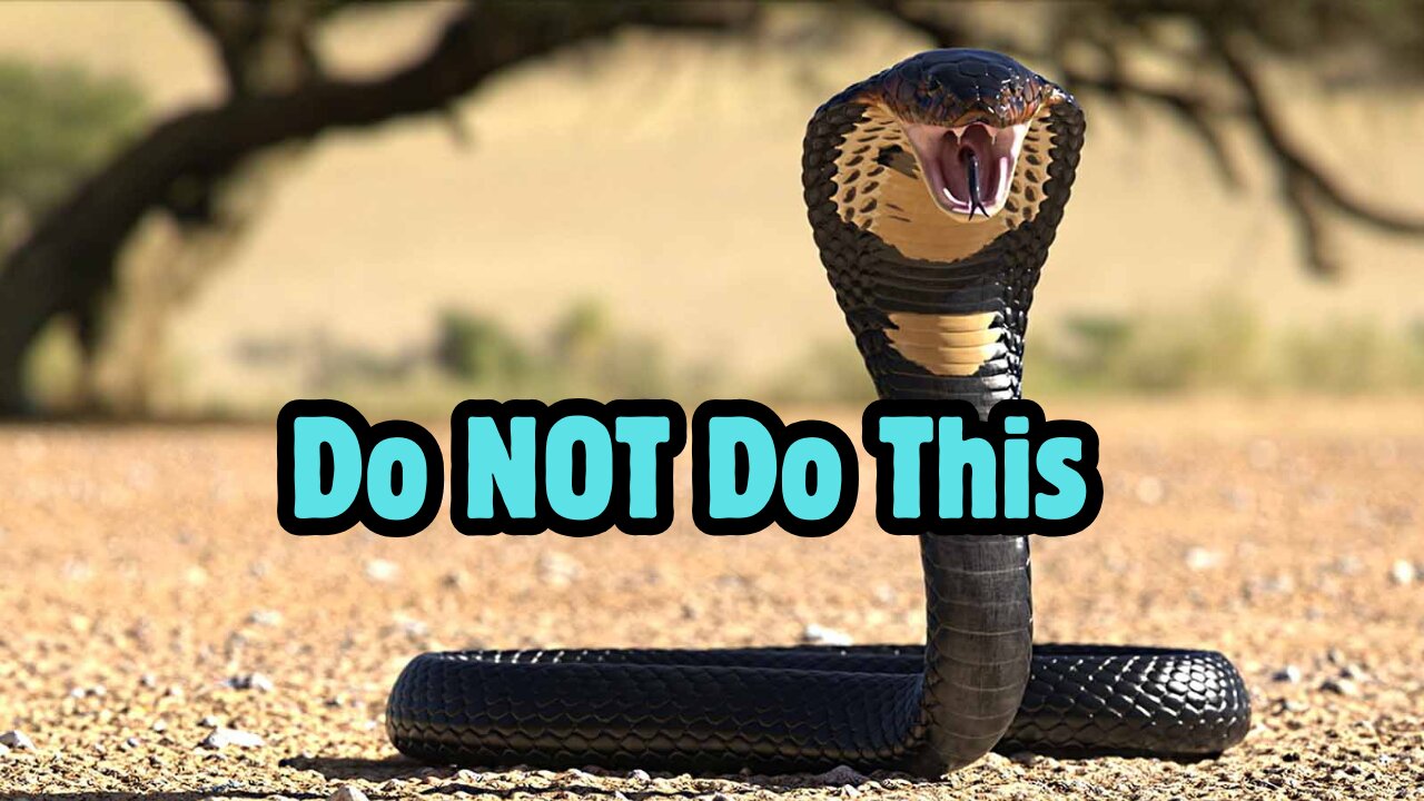 Snakes Are Scary!