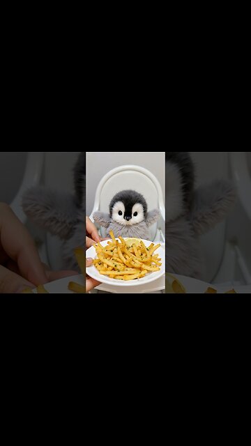 Today’s menu: fried stuff!