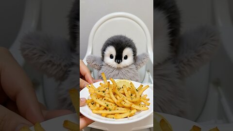 Today’s menu: fried stuff!