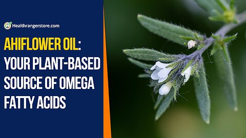 Ahiflower Oil: Your plant-based source of omega fatty acids