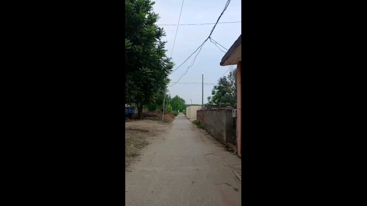 satisfying Video