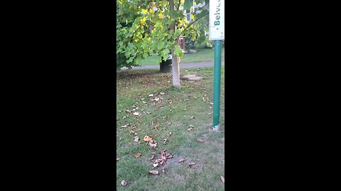 Yellow and Red Little Free Library