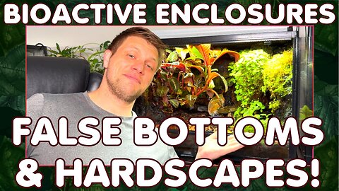 Bioactive Enclosures - Hardscape & False Bottoms!