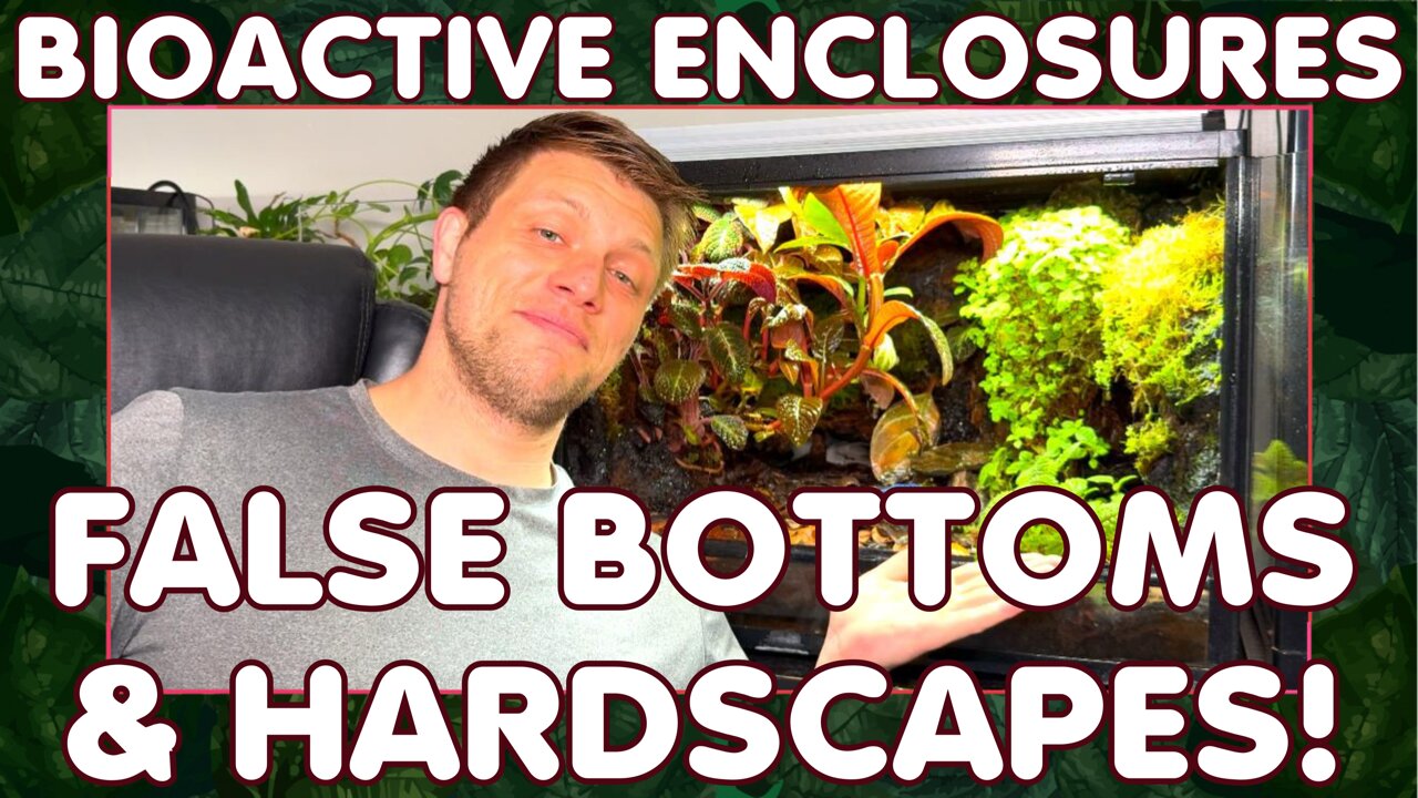 Bioactive Enclosures - Hardscape & False Bottoms!