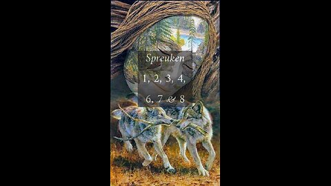 Spreuken 1, 2, 3, 4, 6, 7 & 8