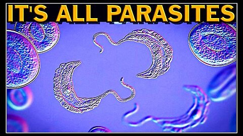 "Unlocking Dr. Lee Merritt's Revolutionary Parasitic Cancer Vaccine Solutions"