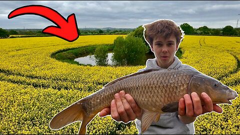 Carp Caught Out Of Abandoned Pond In The Middle Of A Field!