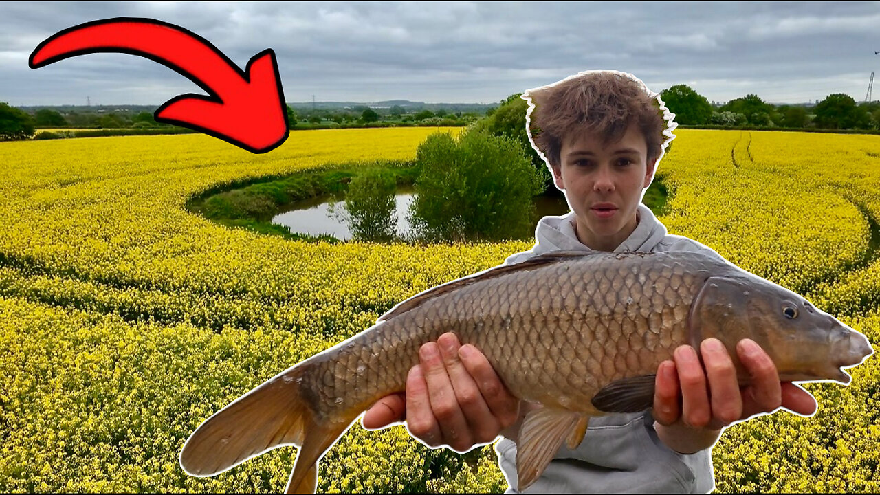 Carp Caught Out Of Abandoned Pond In The Middle Of A Field!