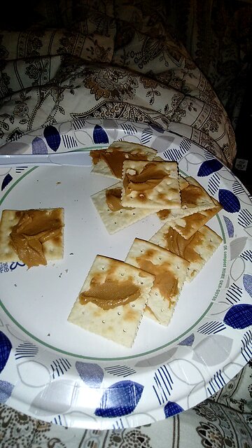 Eating Original Premium Saltine Crackers, Dbn, MI, 12/26/25