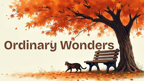 Ordinary Wonders
