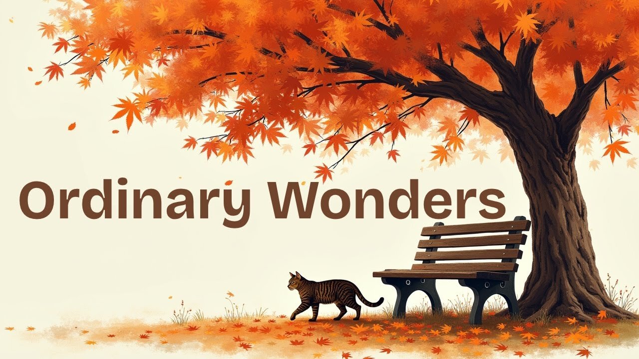 Ordinary Wonders