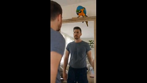 When Your Life Coach Has Feathers and No Faith #funnyparrot #parrot #pets