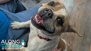 Princess Buttercup Wishes for a Loving Home!