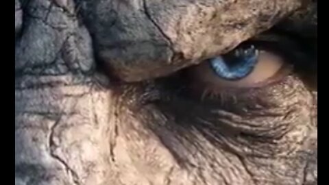 What...If...The Nephilim...Built The Pyramids - 𝓝𝓲𝓰𝓱𝓽𝓫𝓻𝓮𝓮𝓭