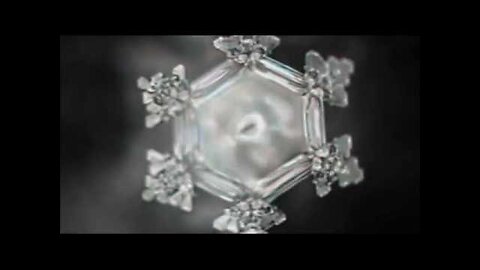 Masaru Emoto - Esperimento del Riso