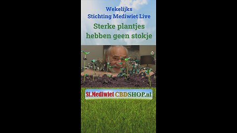 Sterke plantjes hebben geen stokje