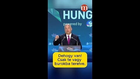Mindenszaristák dala!