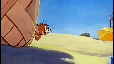 Tom & Jerry Outdoor Fun 🤩