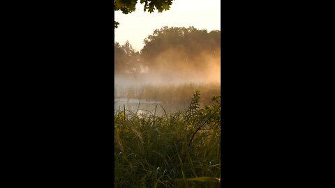 Bank Fishing Guide