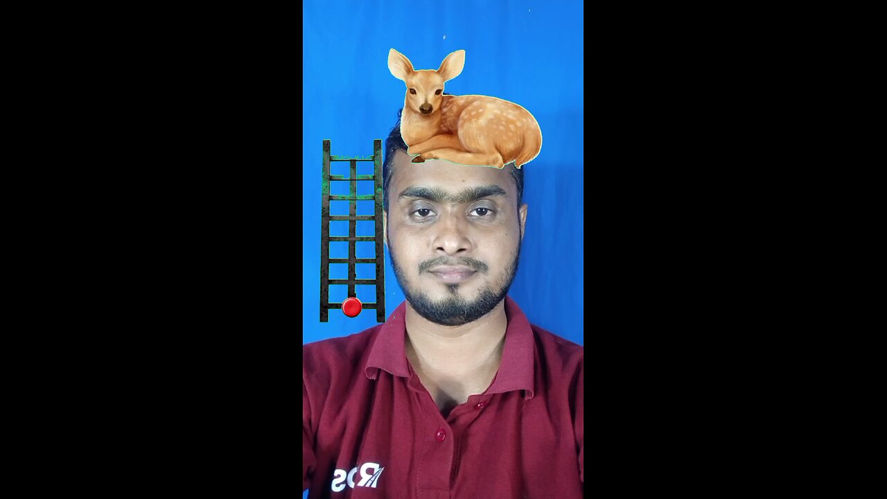 বন্ধুরা এই হরিণটি দাঁড় করে দেখান #reels #puzzle #challenge #viralreels #tending #foryou #saggestfor