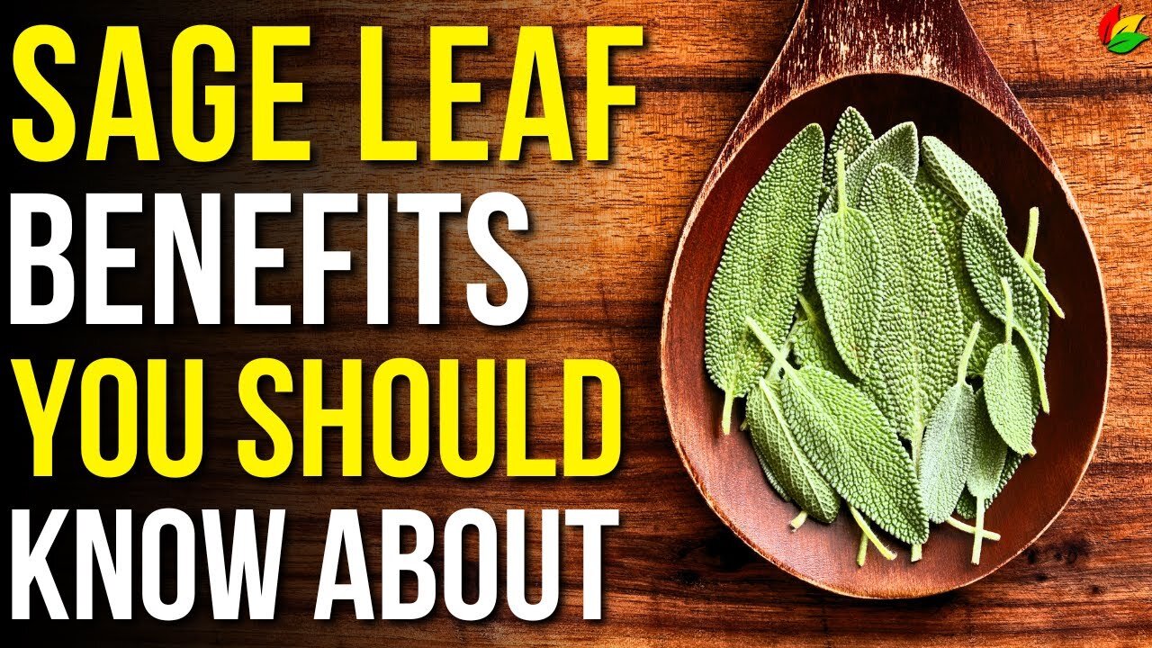 Awaken Your Wellness with 9 Essential Perks of Sage Leaves Unveiled! G41