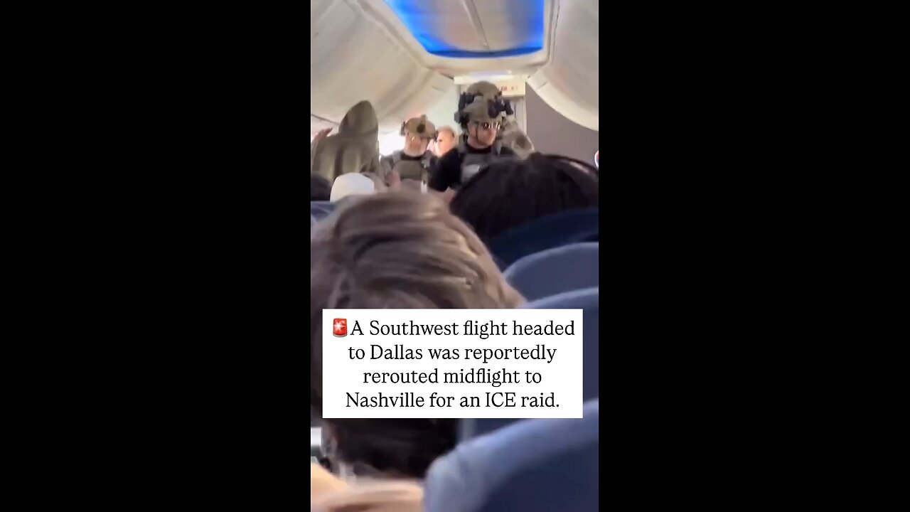 This is what I voted for 🤣