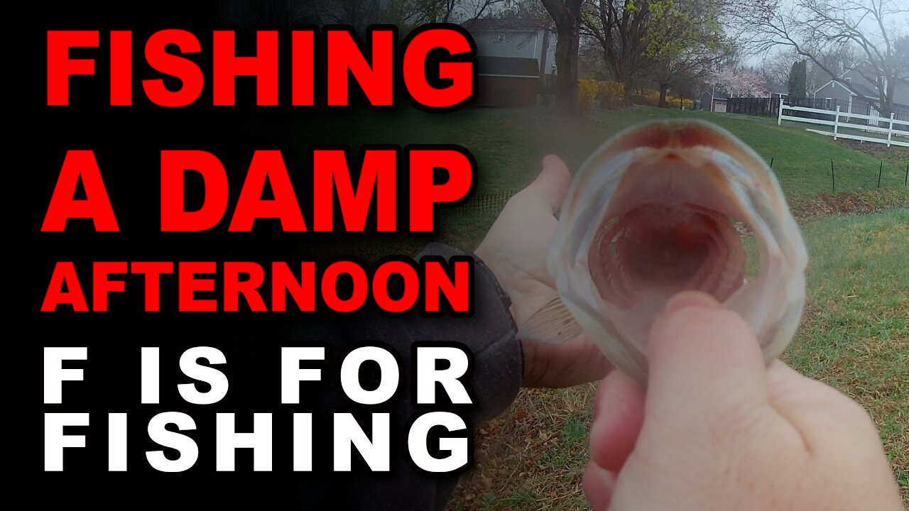 Fishing a Damp Afternoon