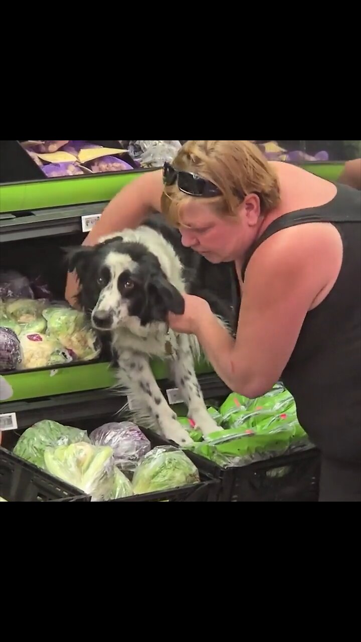 Perro queda atrapado en el estante de verduras en un Walmart